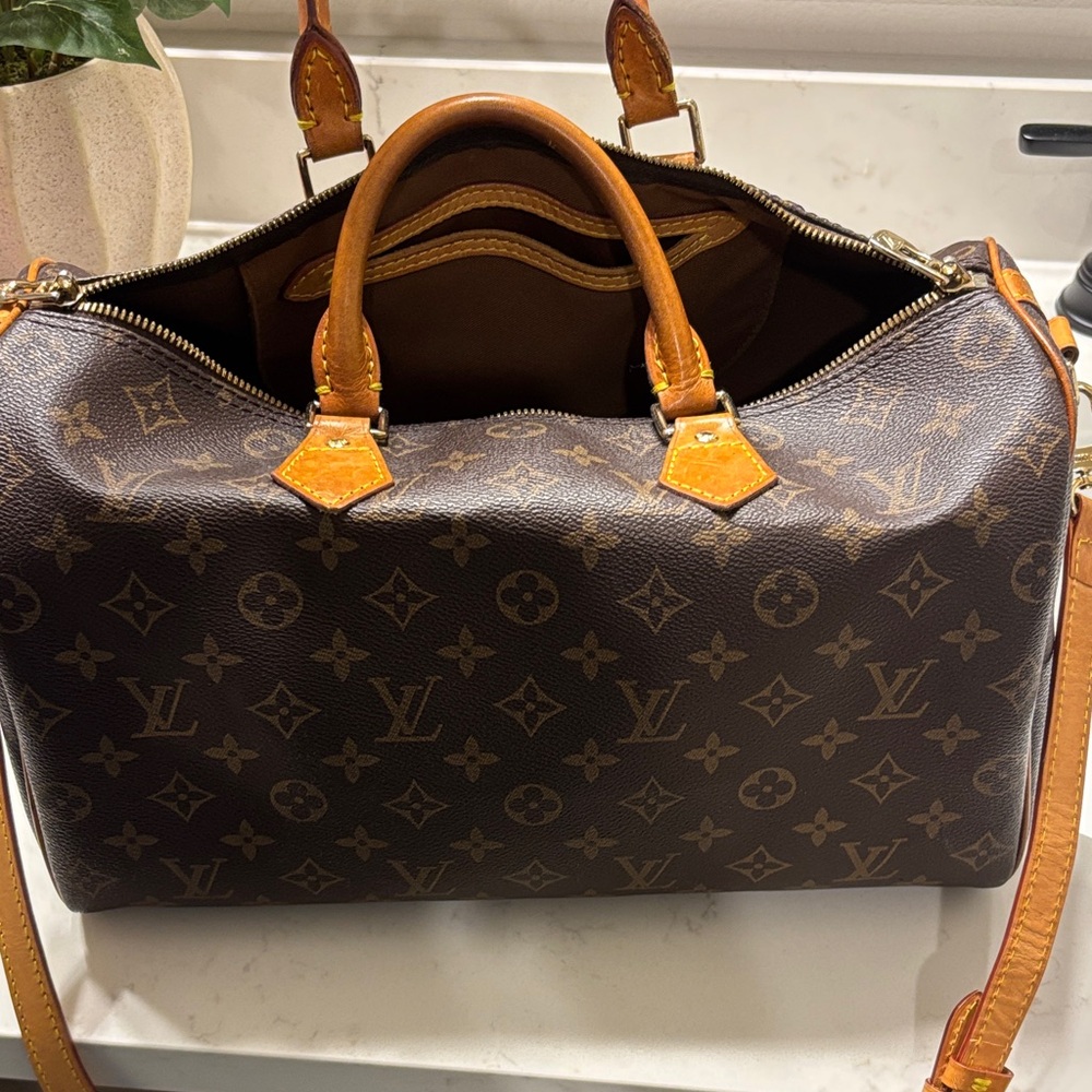 Louis Vuitton Brown Monogram Handbag
